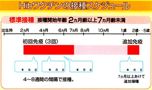 ヒブワクチンスケジュール